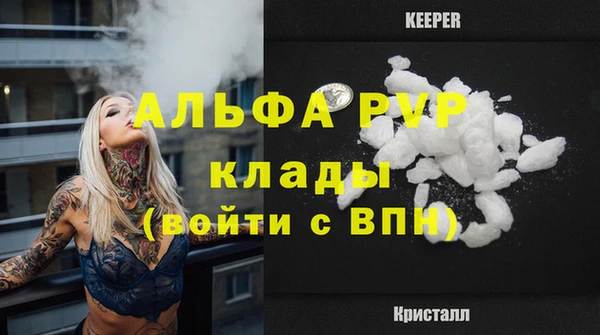 стафф Бронницы