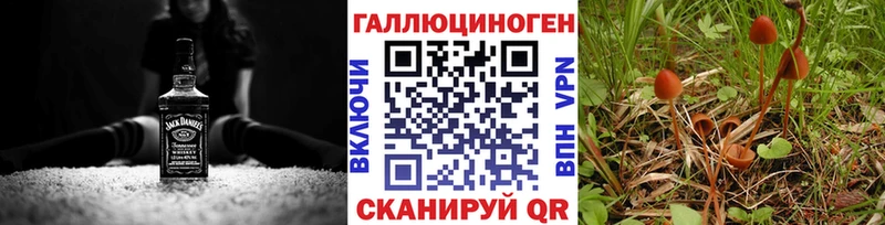 Псилоцибиновые грибы Psilocybine cubensis  наркошоп  гидра tor  Плёс 