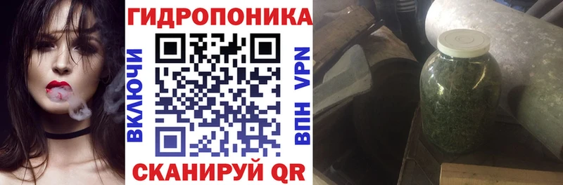 Марихуана Bruce Banner  Плёс 